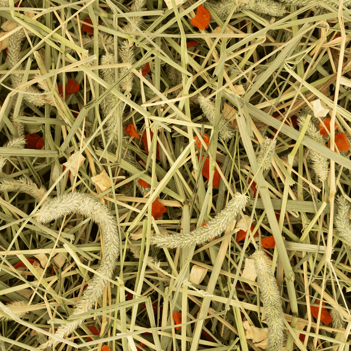 Heu mit Karotte und Pastinake von Deli Nature