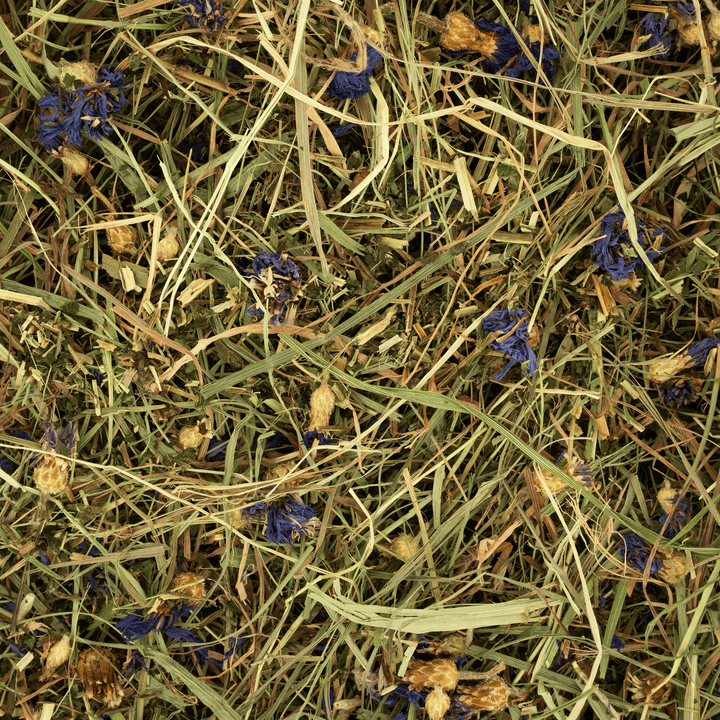 Heu mit Kornblume und Brennnessel von Deli Nature