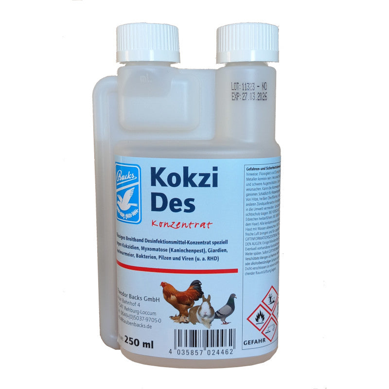 KokziDes von Backs