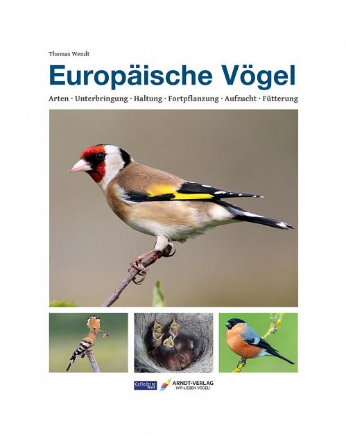 EUROPÄISCHE VÖGEL – THOMAS WENDT