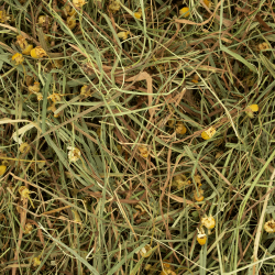 Heu mit Gänseblümchen und Löwenzahn von Deli Nature