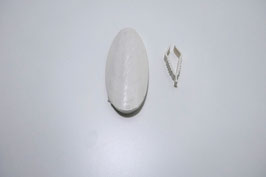 CALCIUM SEPIASCHALE GROSS 15 CM