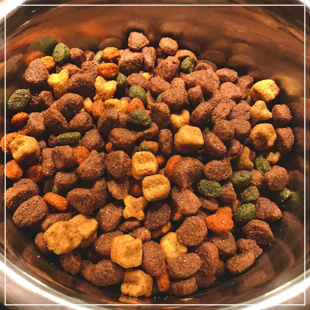 Hundefutter