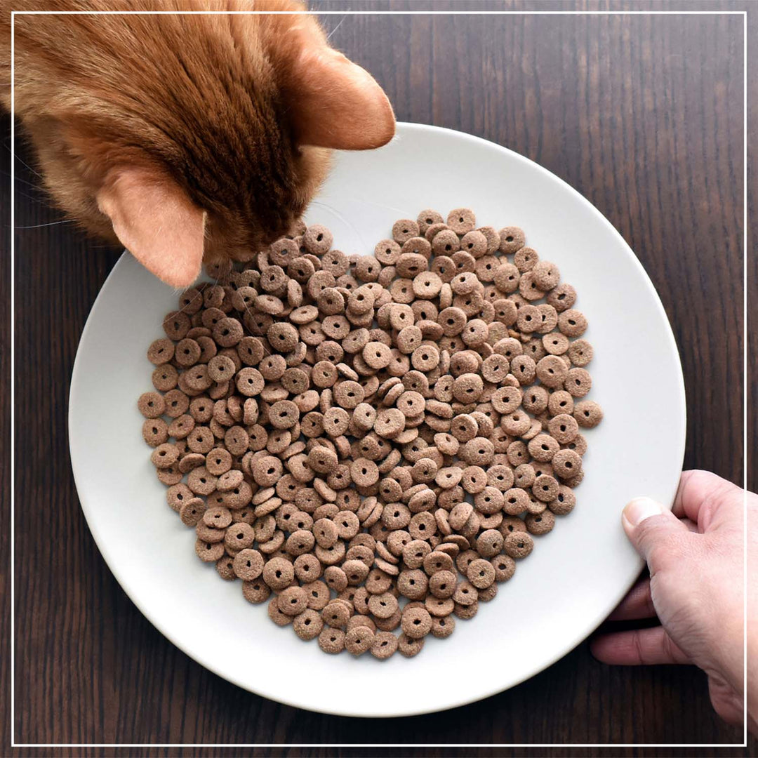 Katzenfutter