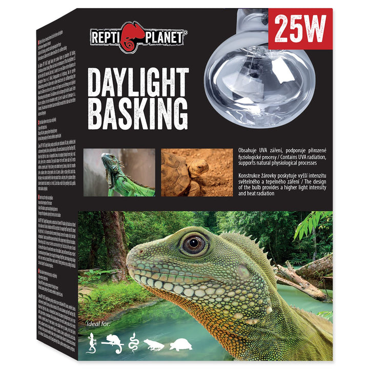 Daylight Basking