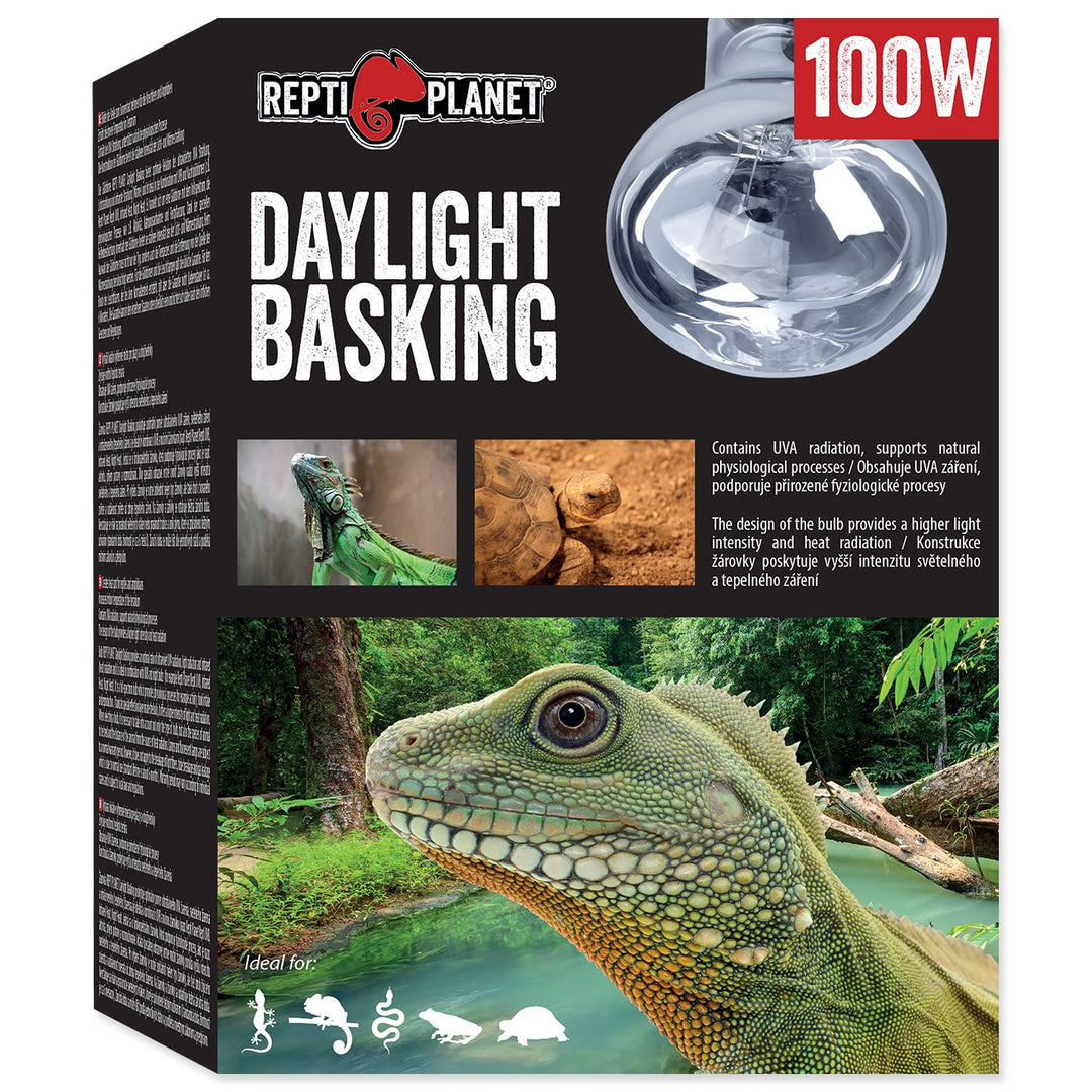 Daylight Basking