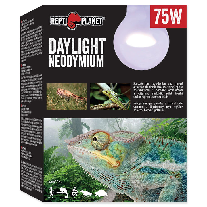 Daylight Neodymium
