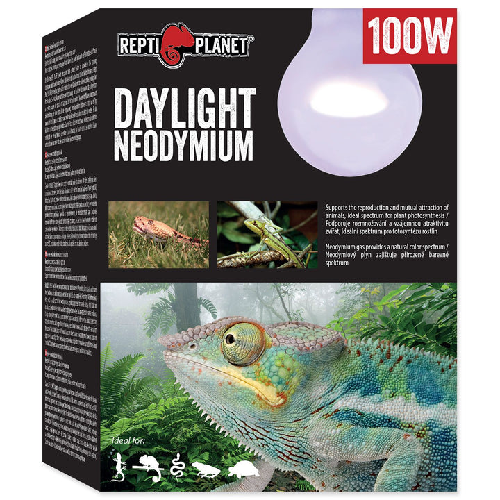 Daylight Neodymium