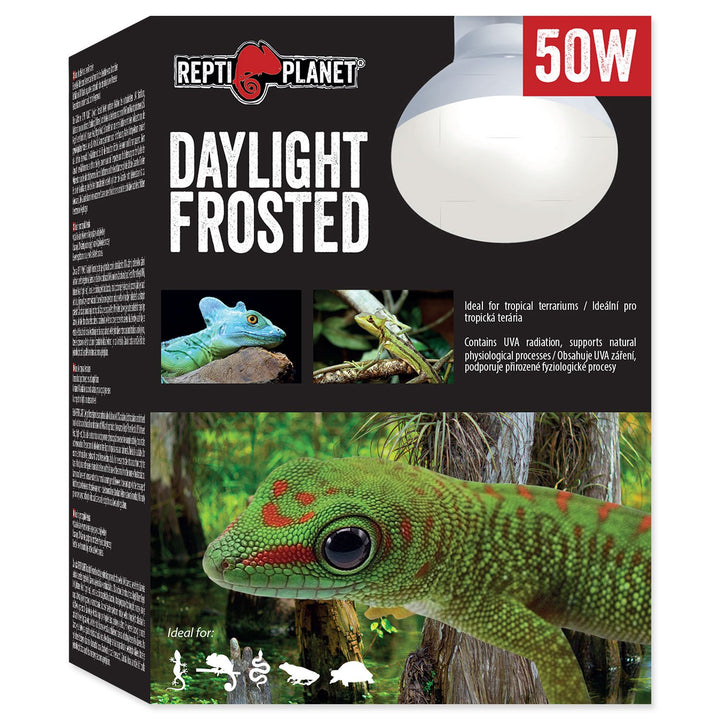 Daylight Frosted