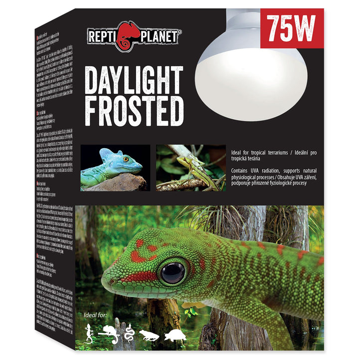 Daylight Frosted