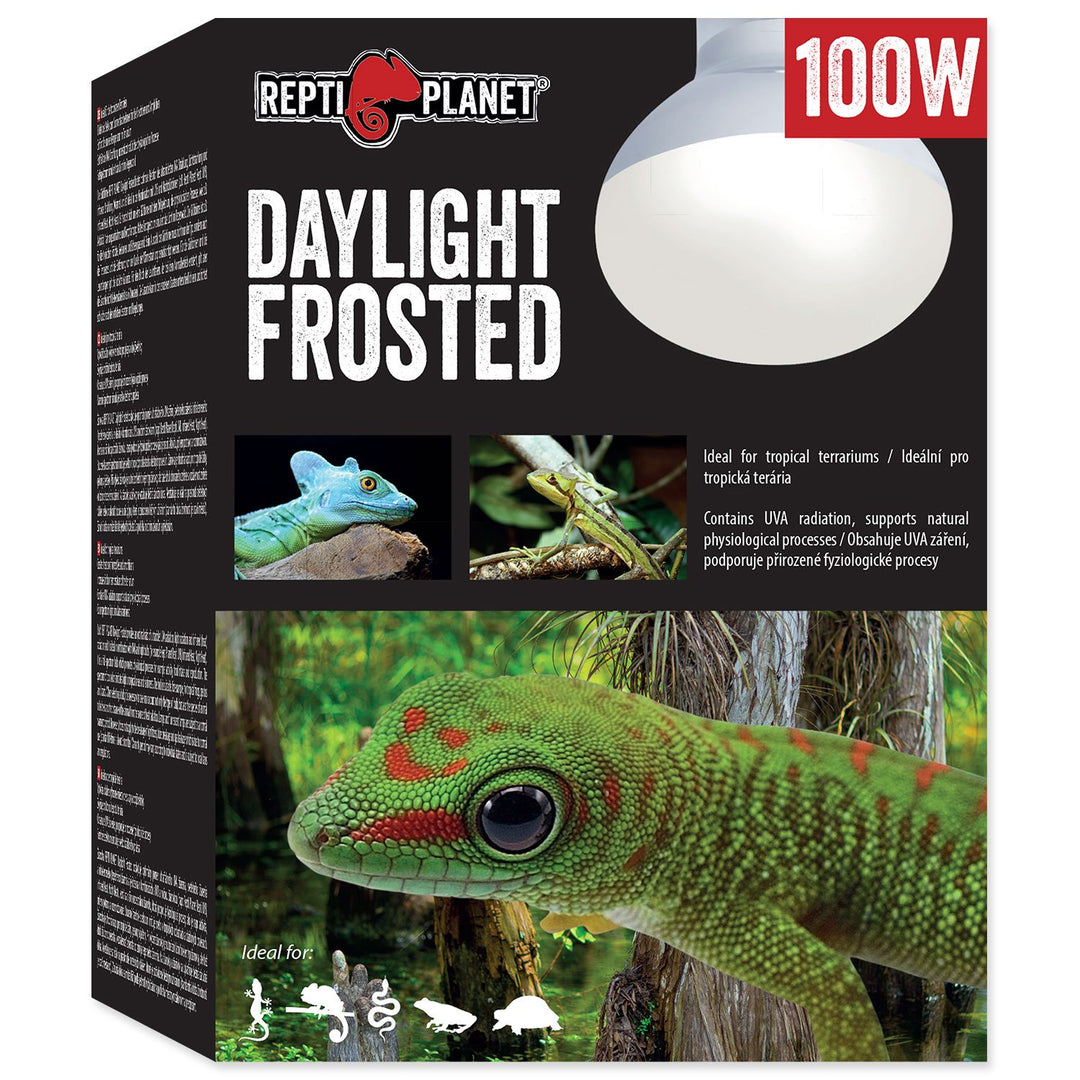 Daylight Frosted