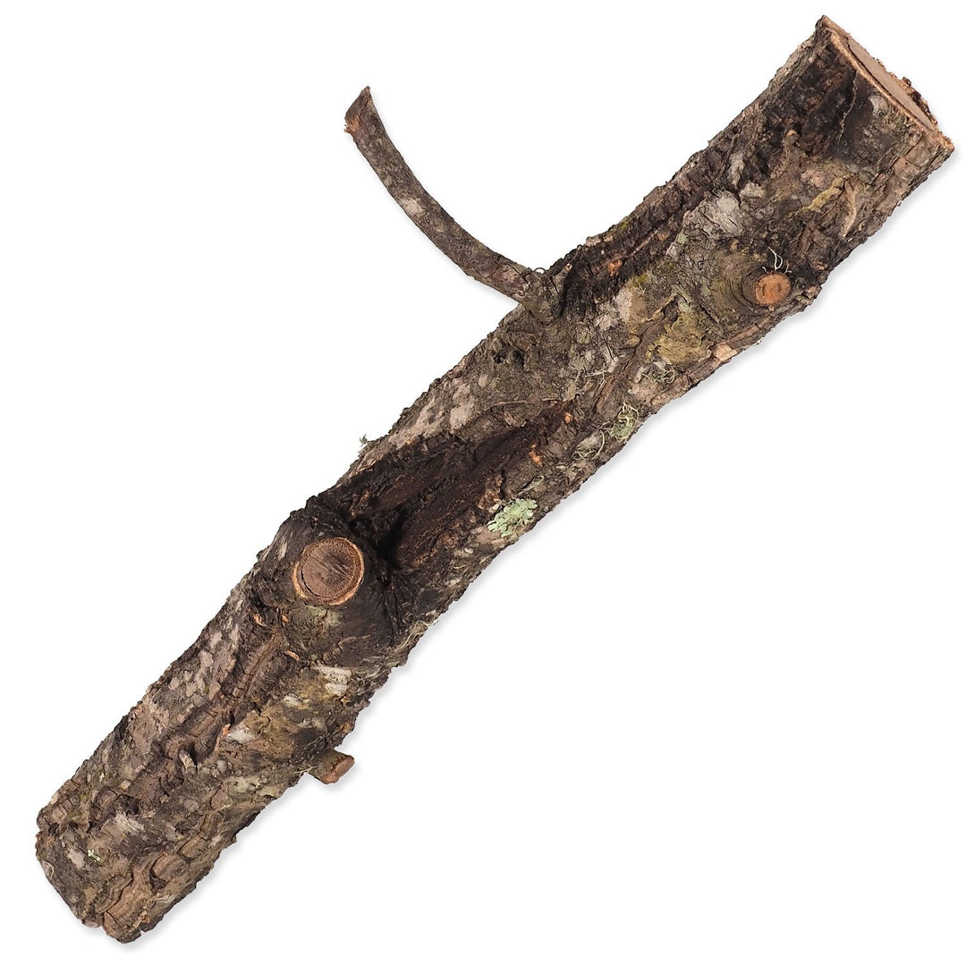 Cork branch