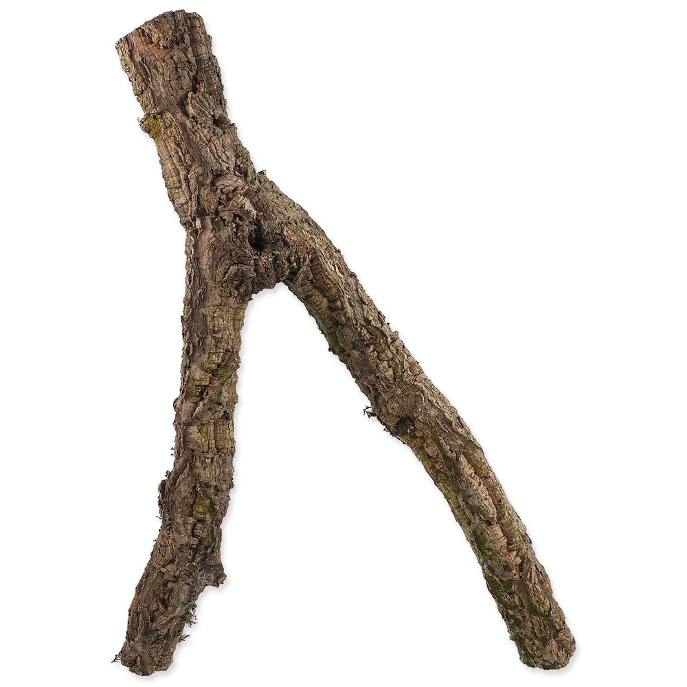 Cork branch