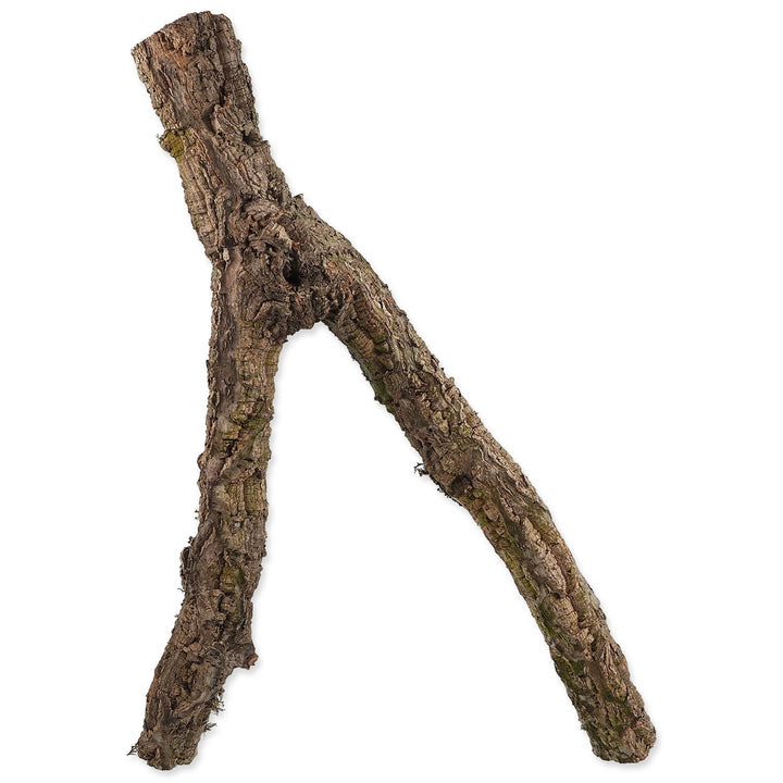 Cork branch