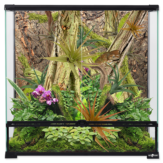 Glas Terrarium