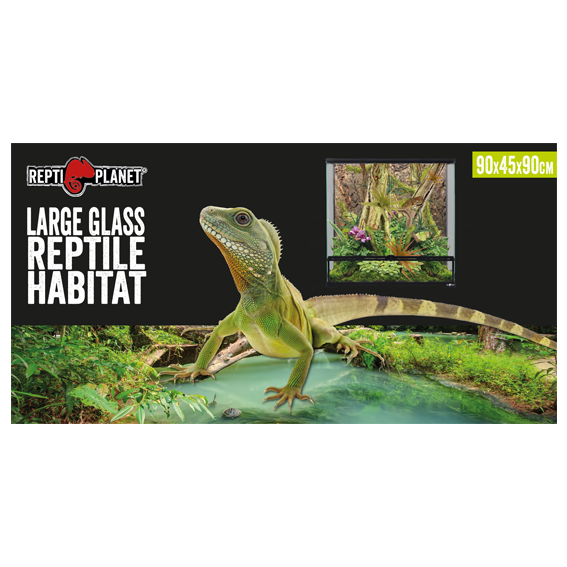 Glas Terrarium