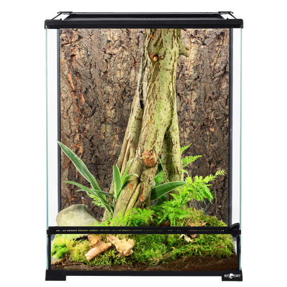 Glas Terrarium