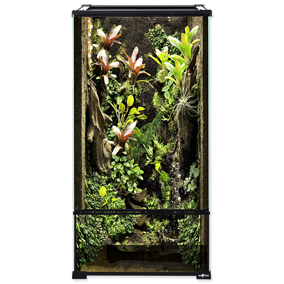 Glas Terrarium