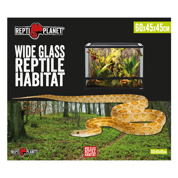 Glas Terrarium