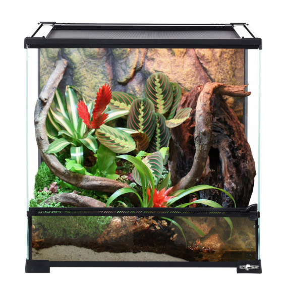 Glas Terrarium
