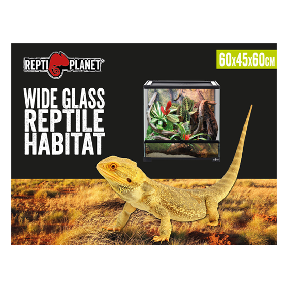 Glas Terrarium