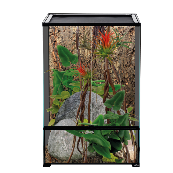 Glas Terrarium