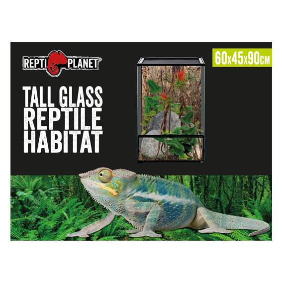 Glas Terrarium