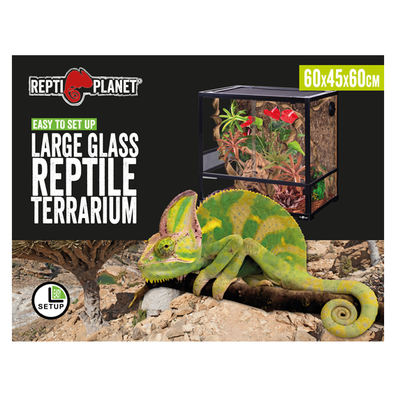 Collapsible Glas Terrarium