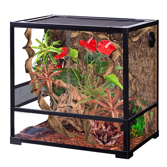 Collapsible Glas Terrarium