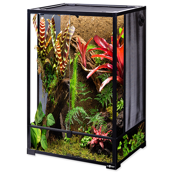 Collapsible Glas Terrarium