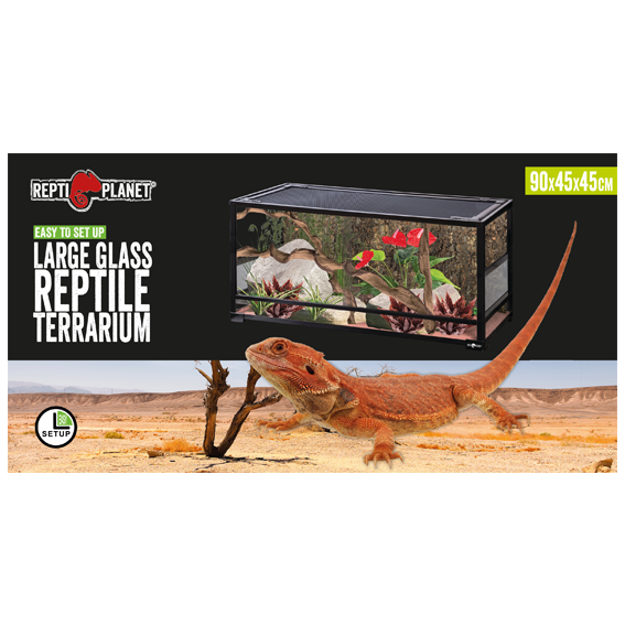 Collapsible Glas Terrarium