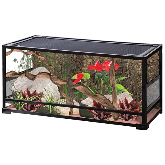 Collapsible Glas Terrarium