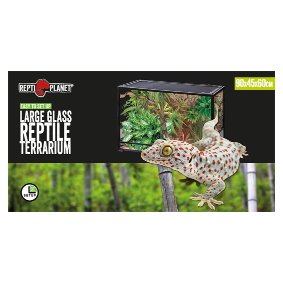 Collapsible Glas Terrarium