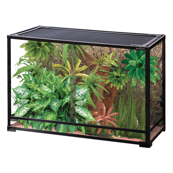 Collapsible Glas Terrarium