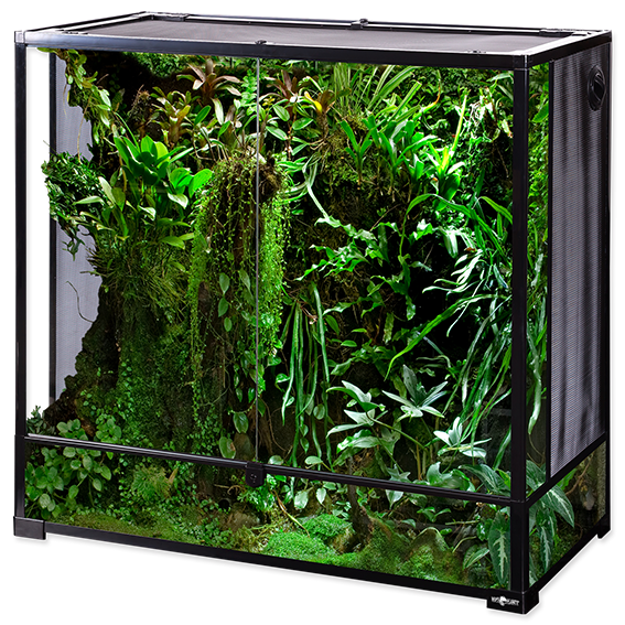 Collapsible Glas Terrarium