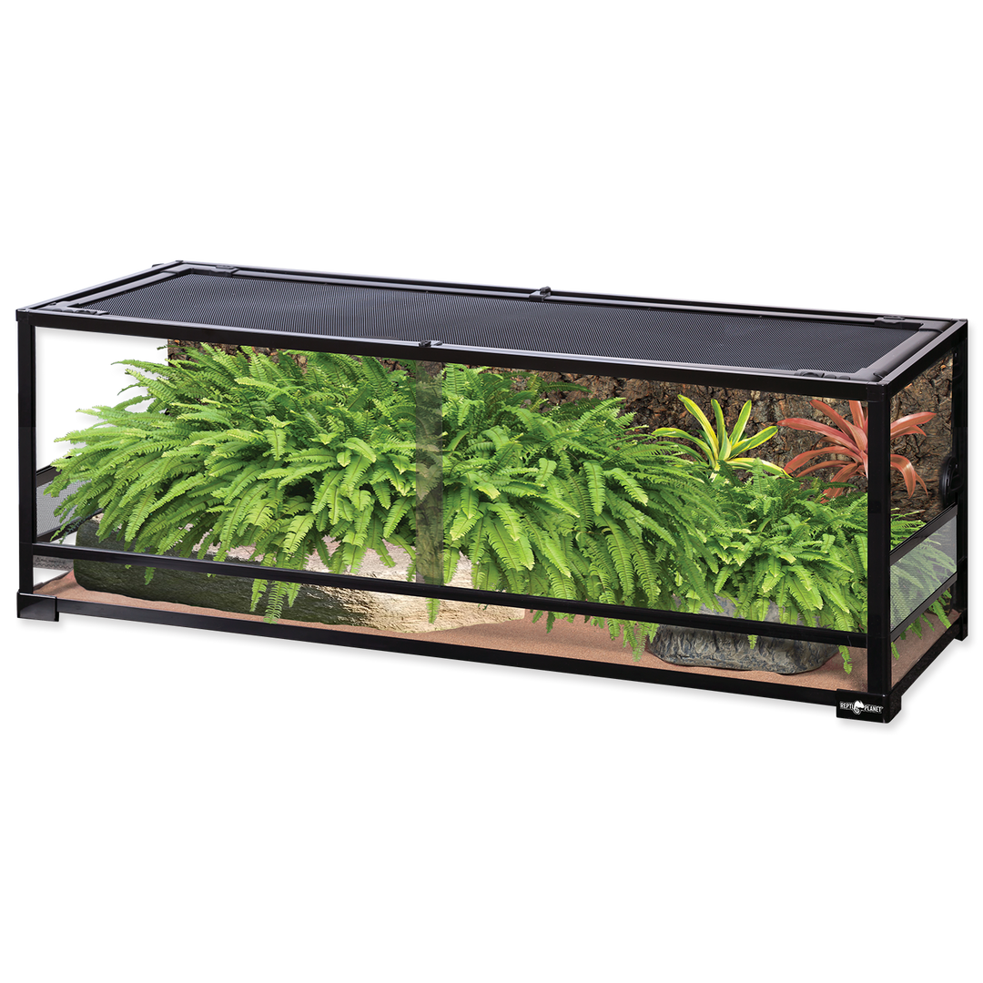 Collapsible Glas Terrarium