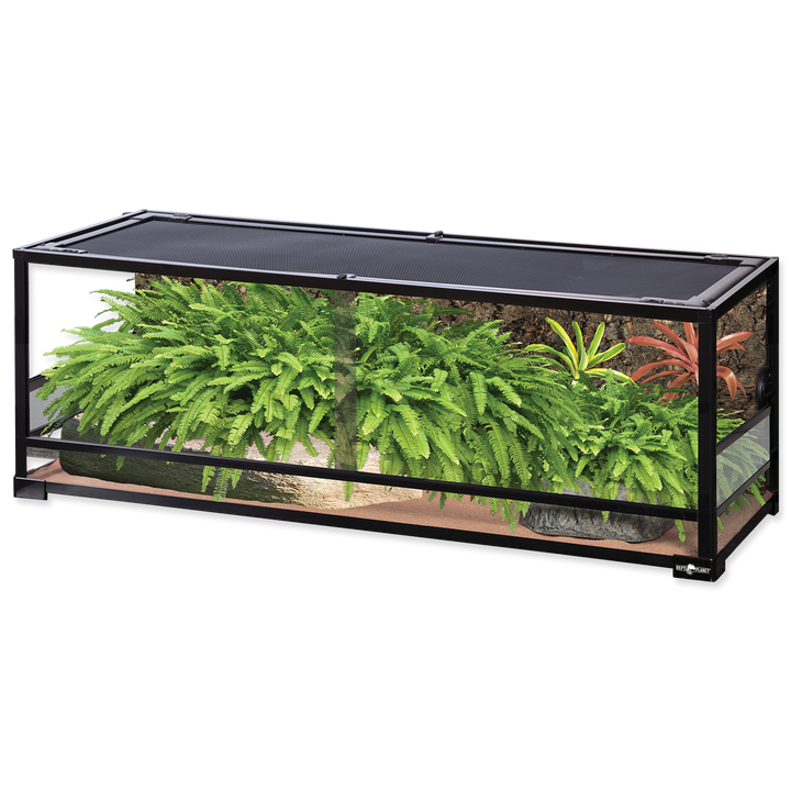 Collapsible Glas Terrarium