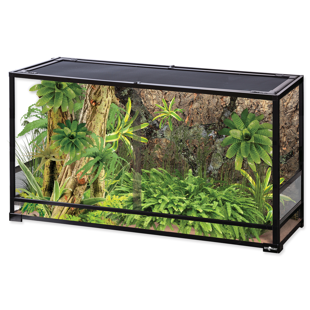 Collapsible Glas Terrarium