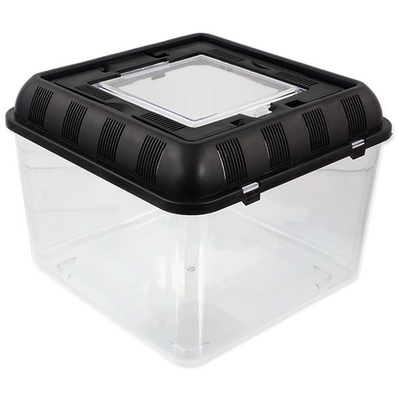 Breeding Box