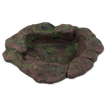 Terrarium Pond