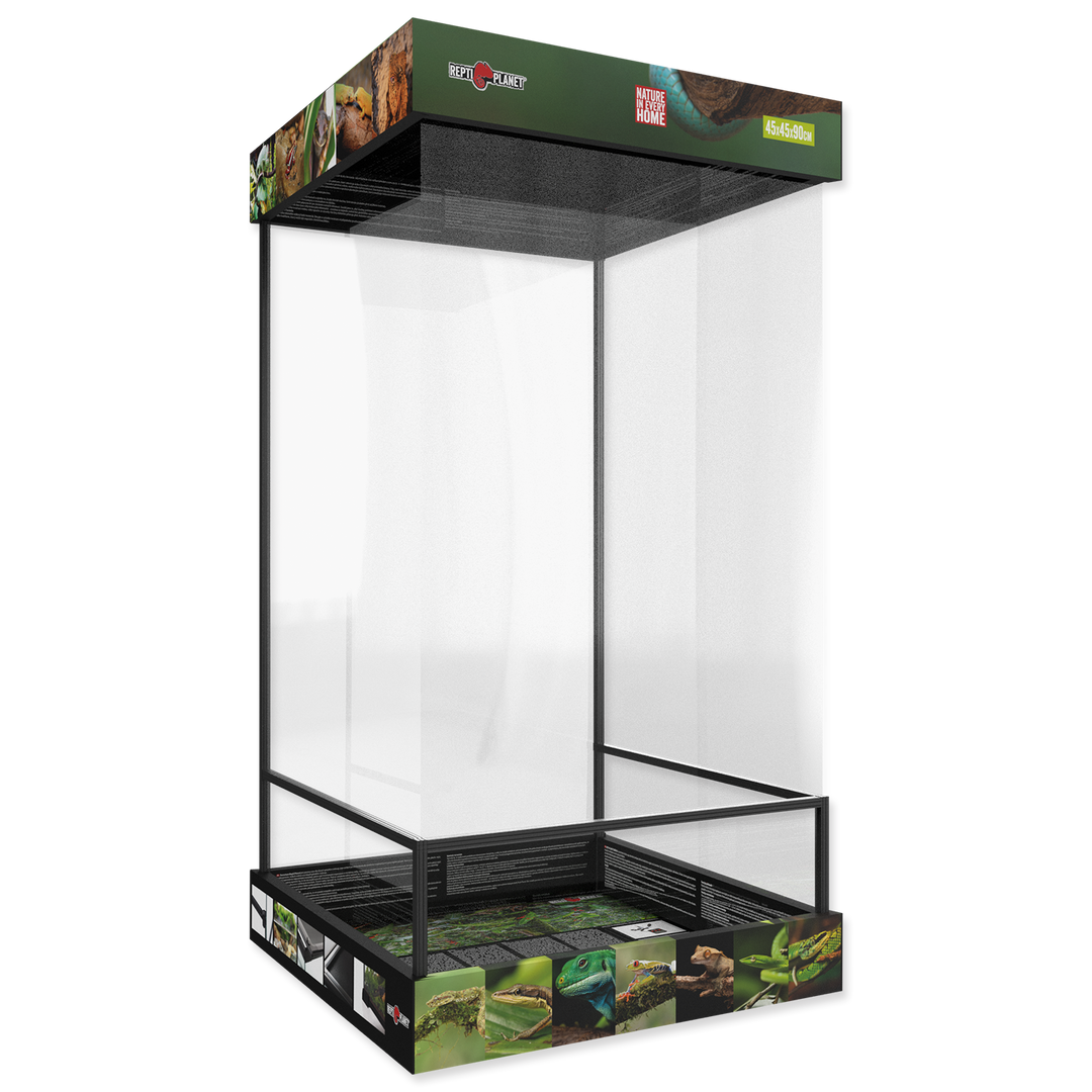 Glas Terrarium