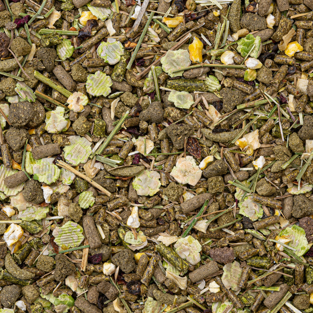 Chinchilla und Degu Futter mit Kräutern, Heu und Gemüse