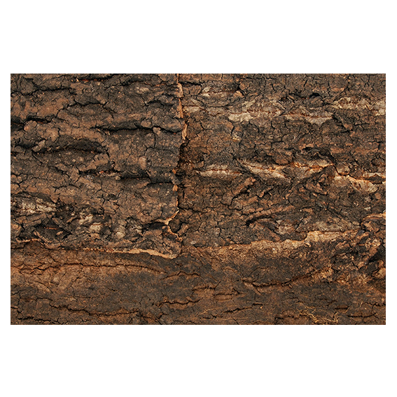 Natural Cork Background
