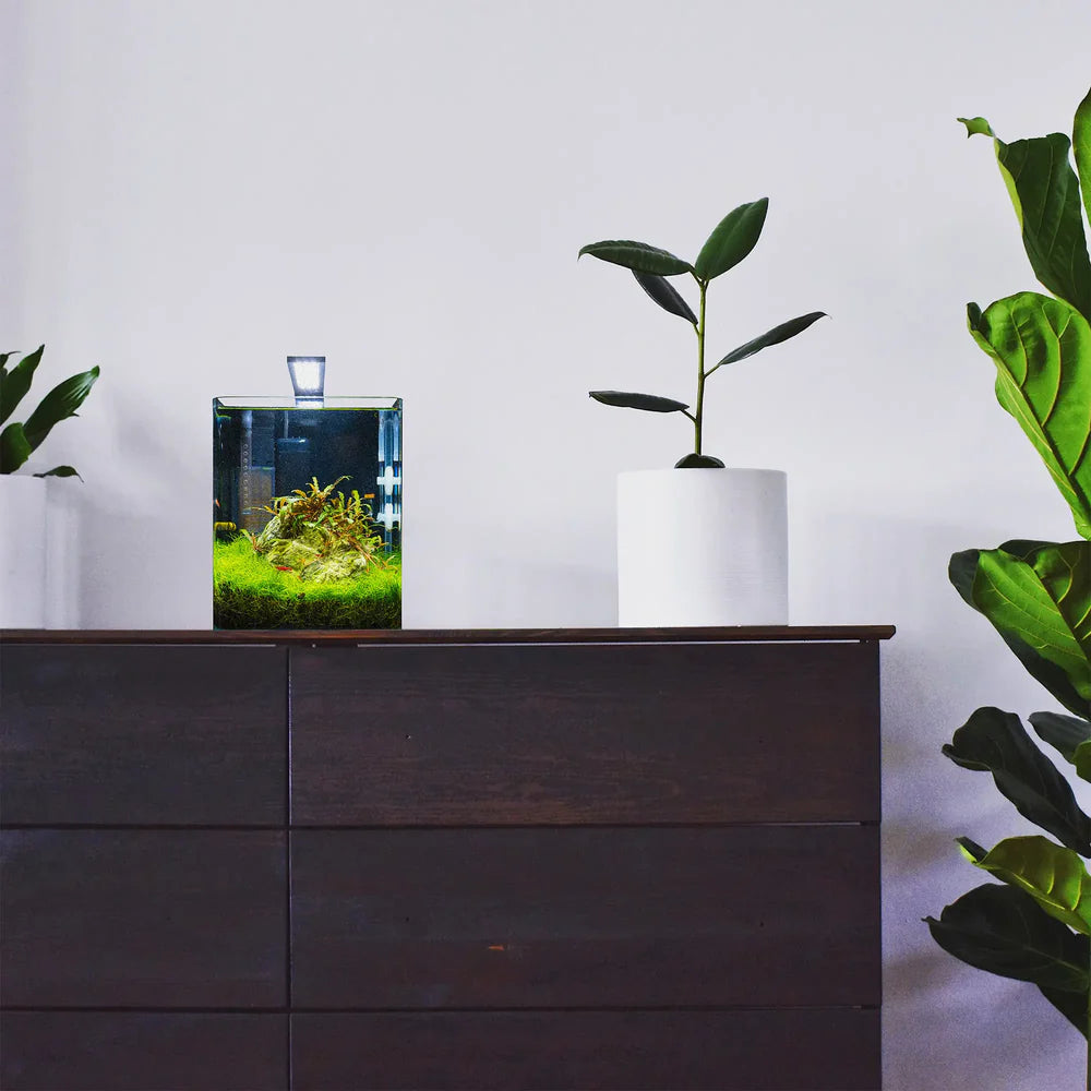 Nano Cube
