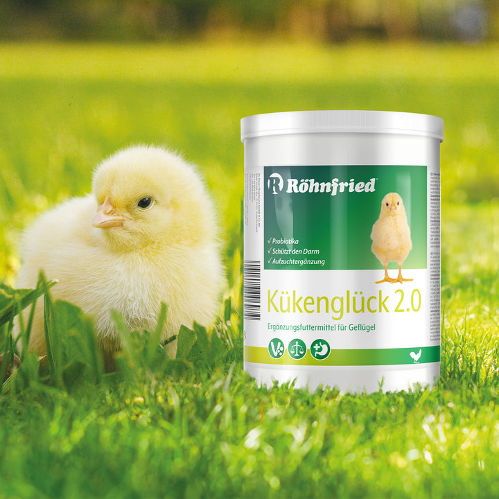 Kükenglück 2.0 Aufzuchtpräparat für Hühner, Enten, Gänse, Geflügel von Röhnfried