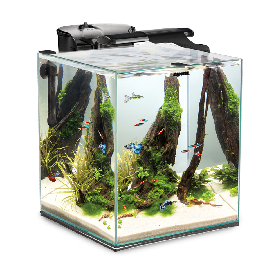 Fish & Shrimp Set Duo 35 Aquarium