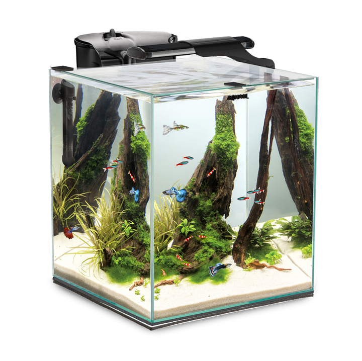 Fish & Shrimp Set Duo 35 Aquarium