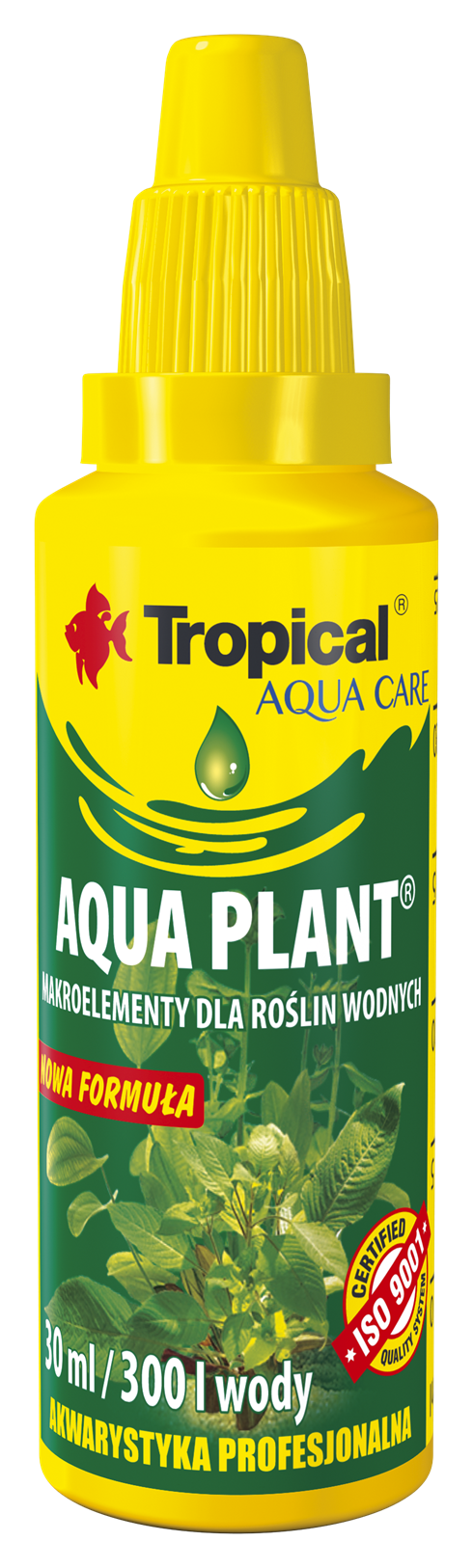 Aqua Plant