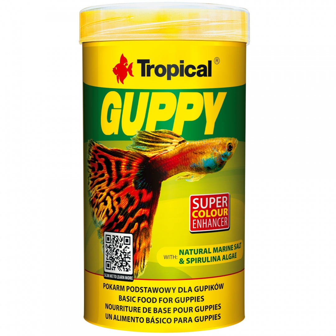 Guppy