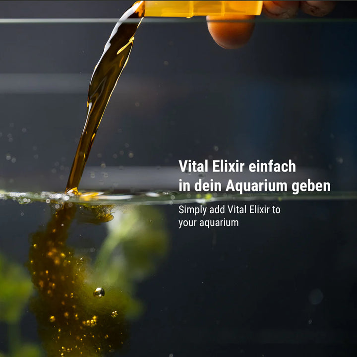 Vital Elixier